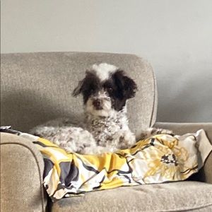 Meet your Posher, Aayla